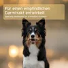 AniForte Morosan 6 x 100g - Bioqualität Schonkost für Hunde Produktbild-Vorschau 6