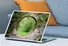 MuchoWow® Laptop Aufkleber Sticker Cover Park - Aussicht - Produktbild-Vorschau 4