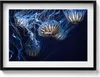 Blaue Quallen im Wasser– Wandbild mit Rahmen – Gerahmtes Produktbild-Vorschau 2
