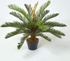 HOMESCAPES Umělá rostlina Zelená 'Palm Ferns' Cycadales Náhled obrázku produktu 1
