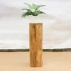 A wooden pedestal with a potted plant on top, set against a white background. Produktbild-Vorschau