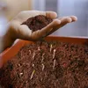 Kokoserde als Block gepresste Blumenerde aus Kokosfasern 5 Produktbild-Vorschau 8