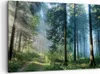 Bild auf Leinwand - Leinwandbild - Einteilig - Wald Produktbild-Vorschau 1