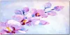 Coloray Bild aus Leinwand 100x50 Leinwand Dekoration - Produktbild-Vorschau 1