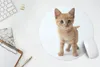 MuchoWow® Mauspad Mousepad Katze - Rot - Kätzchen - Mädchen Produktbild-Vorschau 5