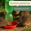 Tränkeschale für Kunststoffflaschen Trinkschale für PET Produktbild-Vorschau 5
