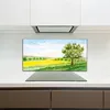 Coloray Spritzschutz aus Glas 120x60  Wandkunst Produktbild-Vorschau 3