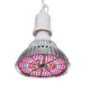 A close-up studio shot of a grow light bulb with red and blue LEDs. Produktbild-Vorschau