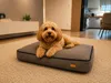 Orthopädisches Hundebett XXL 70x100 cm Grau wasserabweisend Produktbild-Vorschau 1