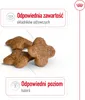 Royal Canin Mini Adult 8+, Dorosły, Mini (5 - 10 kg), Podgląd zdjęcia produktu 7