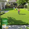EcoDeco - Semences de trèfle nain pour gazon - Mélange de Voir les images du produit 7