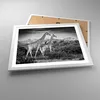 Gerahmtes Poster - Weißer Rahmen - Giraffen Schwarzweiß Produktbild-Vorschau 3