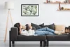 Bild 60x40 MDF-Rahmen, Wandkunst Aloe Produktbild-Vorschau 2