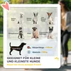 PawHut Hundewagen Hundebuggy klappbar für Hunde & Katzen Produktbild-Vorschau 4