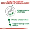 Royal Canin Mini Adult +8 - 2 kg Náhľad obrázku produktu 6