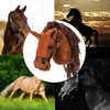 Hobbypferd Tête de cheval sur tige Son peluche marron Voir les images du produit 13