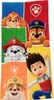 Osuška Paw Patrol se Skye a přáteli Osuška 70 x 140 cm 100 Náhled obrázku produktu 1