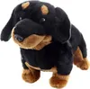 Teckel en peluche 30 cm ECO-FRIENDLY Voir les images du produit 5