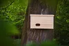 Woodygift Budka lęgowa drewniana typ J 33x21x16 cm – domek Podgląd zdjęcia produktu 4