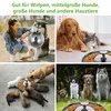 Hundenäpfe,2 Stück Edelstahl Welpennapf,Hundenapf Produktbild-Vorschau 5