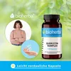 Bioherba Quercetin Komplex 100 Kapseln Produktbild-Vorschau 7
