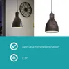 Lampadario A Sospensione Vintage Priddy 1 Acciaio Rame Anteprima dell’immagine prodotto 13