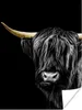 MuchoWow® Poster Schottischer Highlander - Horn - Gold Produktbild-Vorschau 1