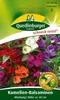 Quedlinburger Saatgut - Kamelien-Balsamine Mischung - Samen Produktbild-Vorschau 1