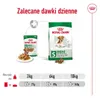 Royal Canin Mini Ageing 12+, Dospělý jedinec, 85 g Náhled obrázku produktu 4