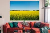 MuchoWow® Poster Ölsaat - Gelb - Frühling 180x120 cm - Produktbild-Vorschau 3
