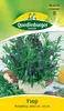 Quedlinburger Saatgut - Ysop - Samen - 496072 Produktbild-Vorschau 3