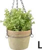 A hanging terracotta pot with a green plant. Produktbild-Vorschau