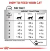 Royal Canin Gastrointestinal Hairball, Adult, Geflügel, 2 Produktbild-Vorschau 2