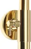 A close-up shot of a gold-colored shower fixture, focusing on the control knob and part of the shower arm. Náhled obrázku produktu