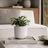 Vyveo - Bloempot Soren - Set van 2 - Zwart - 25x22 cm Productafbeelding-voorbeeld 7