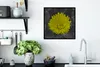 MuchoWow® Gerahmtes Poster Blumen - Aquarell - Löwenzahn Produktbild-Vorschau 3