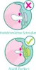 MAM Schnuller 2er Pack Perfect Start - Silikon Produktbild-Vorschau 11