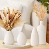 Set van 4 witte decoratieve keramische vazen Productafbeelding-voorbeeld 5