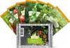 Pizza-Set (7 Sorten) | Gemüsesamen-Sets von FLORTUS Produktbild-Vorschau 1