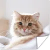 MuchoWow® Poster Katze - Rot - Bett - Mädchen - Kinder - Produktbild-Vorschau 1