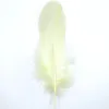 Piume Piume d'oca, circa 15-20 cm, 10 pezzi, crema Anteprima dell’immagine prodotto 1