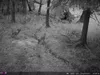 Outdoor Wildlife Hunting Trail und Wildkamera OXE Spider Produktbild-Vorschau 45