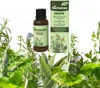 Nemanex Drops - Gouttes Voir les images du produit 4