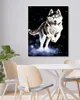Diamondi - Diamond painting - HUSKY, 40X50 cm, mit Produktbild-Vorschau 2