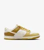 A single Nike Dunk Low Retro shoe is shown against a white background. Anteprima dell’immagine prodotto
