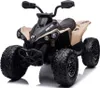 FINOOS Kinderquad Kinder Elektro-Quad, CAM-AM RENEGADE 24V Produktbild-Vorschau 1