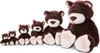 A group of five brown teddy bears of varying sizes sitting in a line against a white background. Podgląd zdjęcia produktu