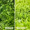 COMPO Rasenunkrautvernichter Banvel Quattro - 75 ml Produktbild-Vorschau 6