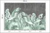 Muralo Selbstklebende Fototapete BANANENBLÄTTER Pflanzen Produktbild-Vorschau 2