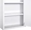 kleankin Armoire à Pharmacie 2 étagères 3 Niveaux Voir les images du produit 7